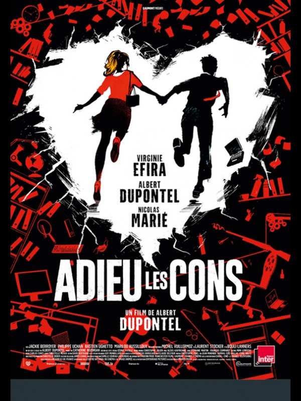 Affiche du film ADIEU LES CONS