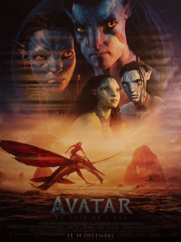 Affiche du film AVATAR