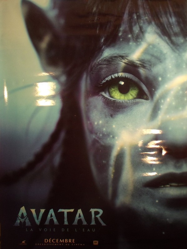 Affiche du film AVATAR