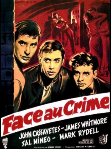 FACE AU CRIME - Titre original : CRIME IN THE STREETS